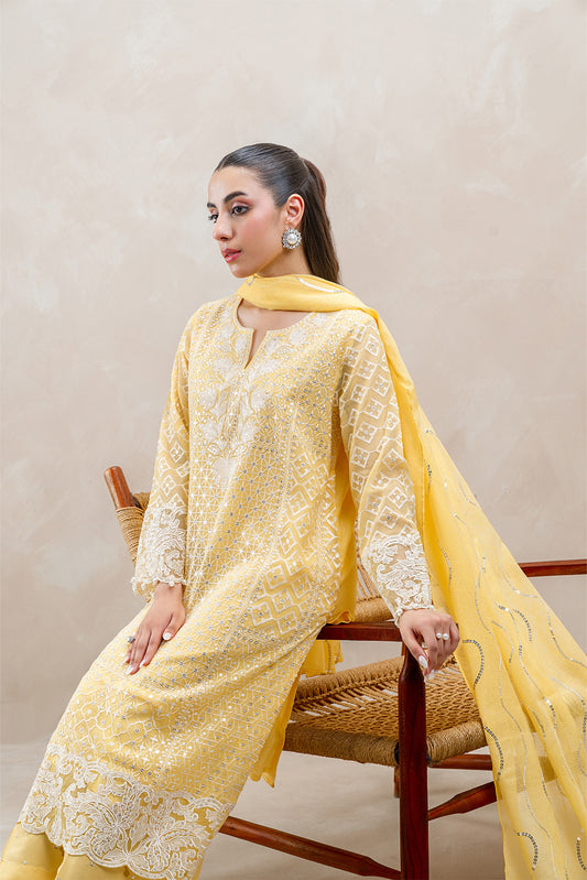 3 PIECE EMBROIDERED COTTON NET SUIT (LUXURY-PRET)