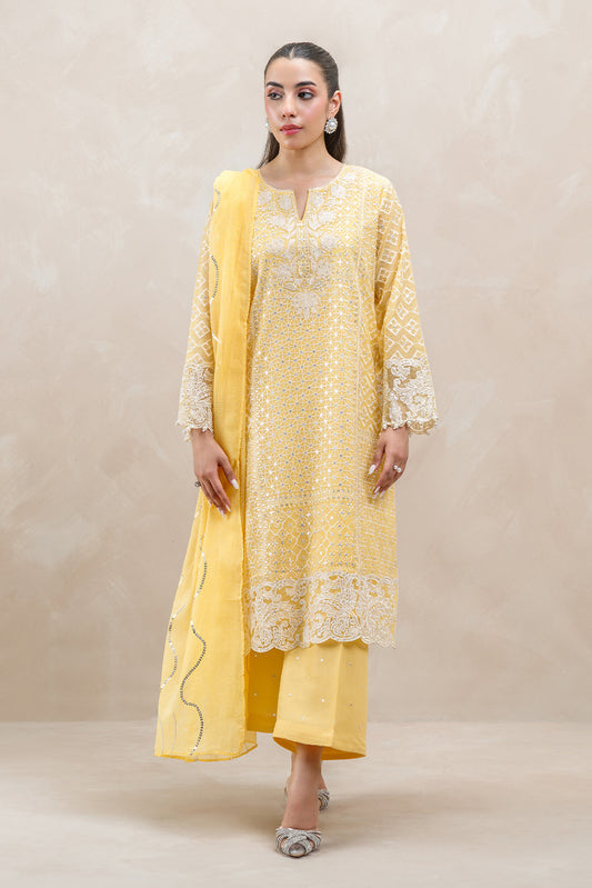 3 PIECE EMBROIDERED COTTON NET SUIT (LUXURY-PRET)