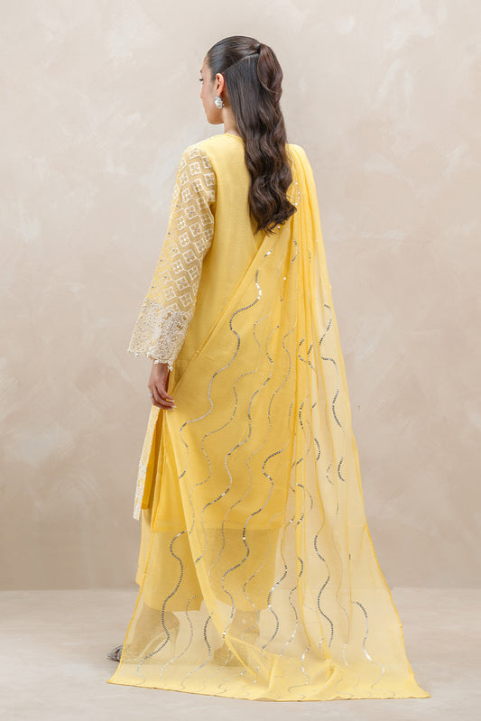 3 PIECE EMBROIDERED COTTON NET SUIT (LUXURY-PRET)