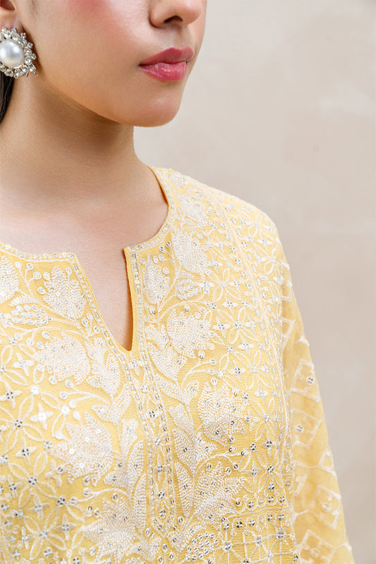 3 PIECE EMBROIDERED COTTON NET SUIT (LUXURY-PRET)