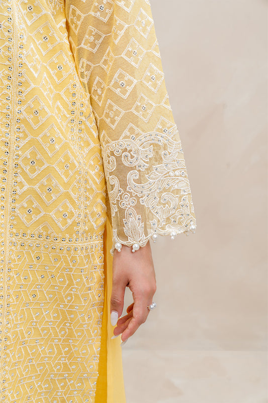 3 PIECE EMBROIDERED COTTON NET SUIT (LUXURY-PRET)