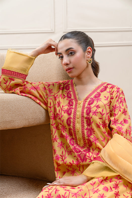 3 PIECE EMBROIDERED PAPER COTTON SUIT (PRET)