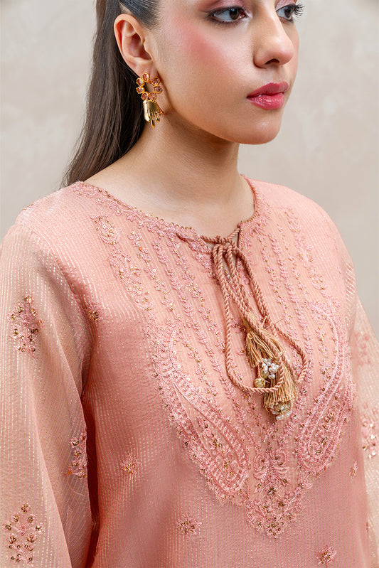 2 PIECE EMBROIDERED ORGANZA BADLA SUIT (LUXURY-PRET)
