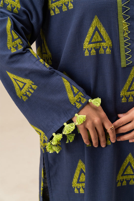 2 PIECE EMBROIDERED VELVET KHADDAR SUIT (PRET)