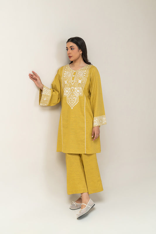 2 PIECE EMBROIDERED MULTI NEPS SUIT (PRET)