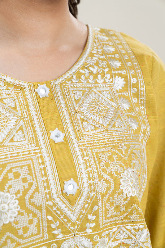 2 PIECE EMBROIDERED MULTI NEPS SUIT (PRET)