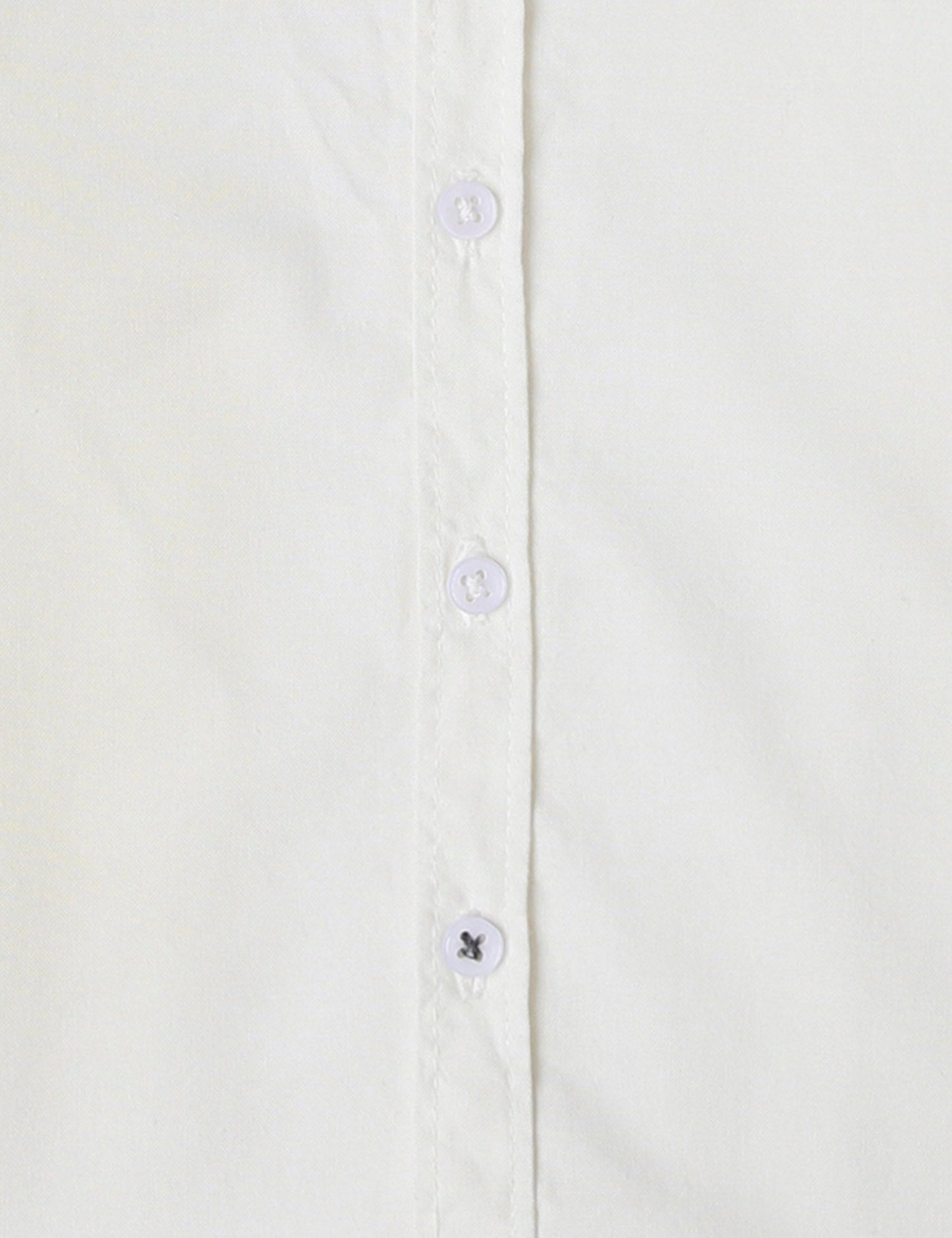 Shirts (6273823932568)