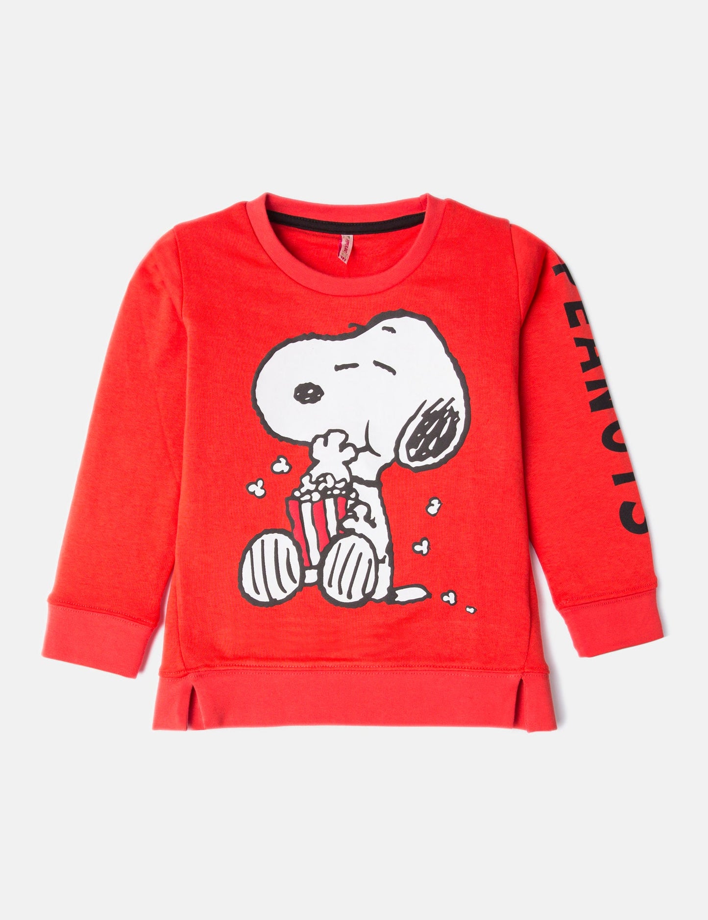 Snoopy Sweatshirt (6273830551704)