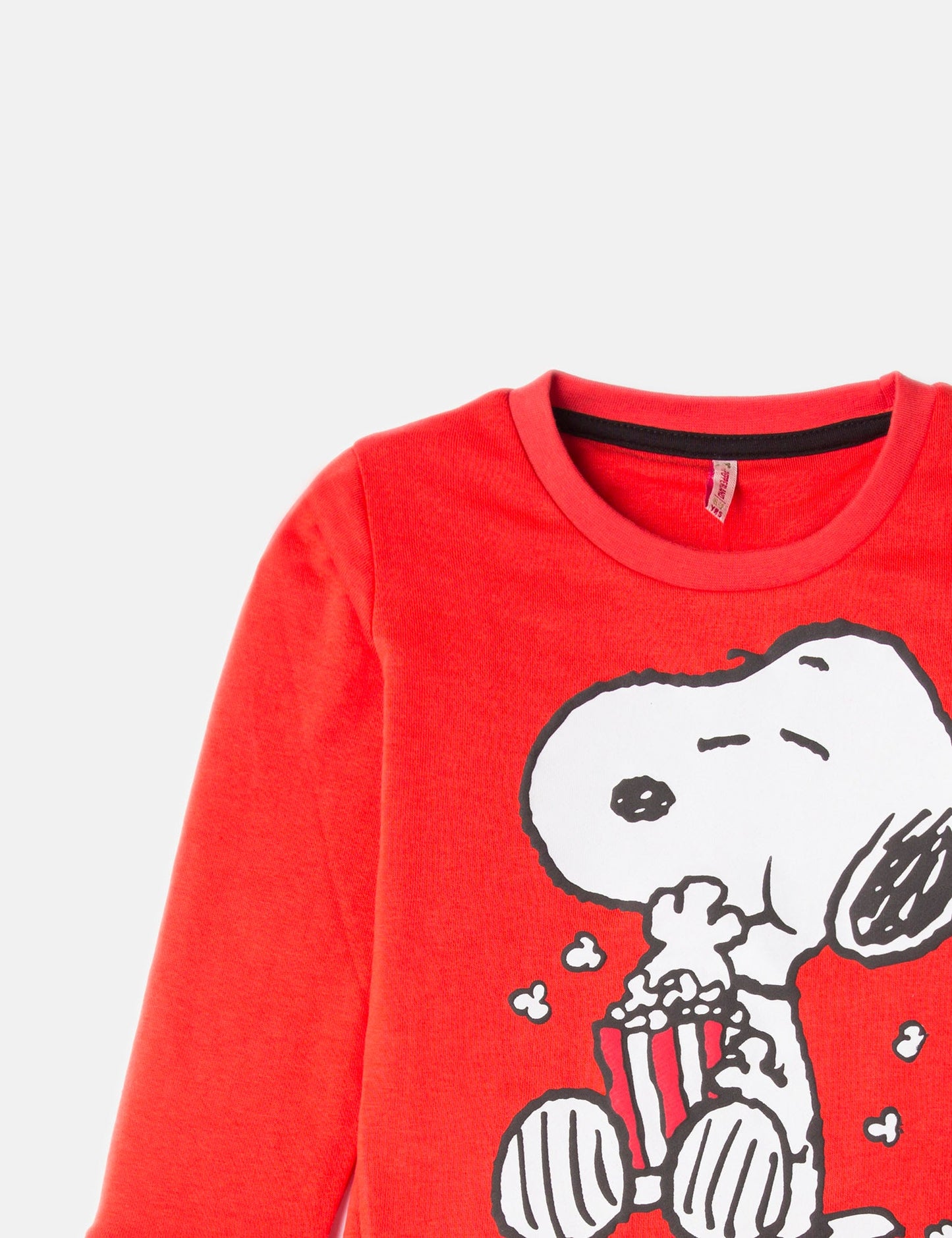 Snoopy Sweatshirt (6273830551704)
