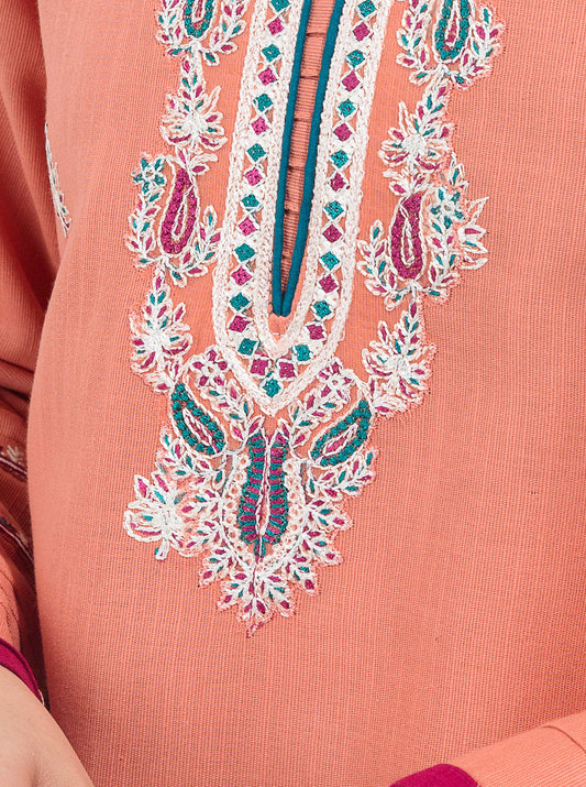 EMBROIDERED SHIRT